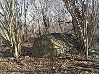 ovega_20230303_6401b65bbdc6a.jpeg