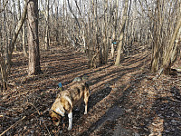 ovega_20230303_6401b65d340eb.jpeg
