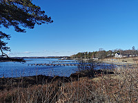 ovega_20230307_6407928764917.jpeg