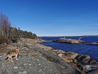 ovega_20230309_64098191a23ec.jpeg