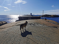 ovega_20230329_6423e57d8d7f3.jpeg