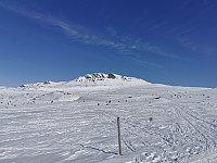 ovega_20230407_642fa5cac6235.jpeg