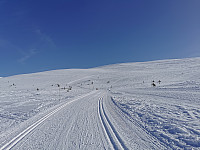 ovega_20230407_642fa5cd2ed3c.jpeg