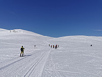 ovega_20230407_642fa5d086f6b.jpeg