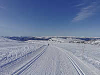 ovega_20230407_642fa5d144344.jpeg