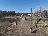 ovega_20230409_643263943f3d4.jpeg
