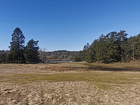 ovega_20230409_6432639695d8f.jpeg