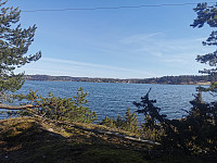 ovega_20230409_643263995d3a1.jpeg