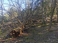 ovega_20230409_6432639f3d364.jpeg