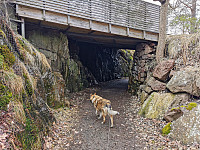 ovega_20230417_643d839ed877f.jpeg
