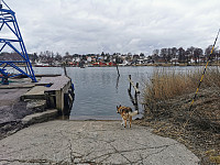 ovega_20230417_643d83a138c64.jpeg