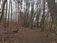 ovega_20230417_643d83a572bcb.jpeg