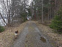 ovega_20230428_644b6fe62c10f.jpeg