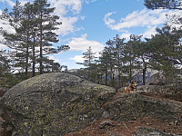ovega_20230509_645a39df0a254.jpeg