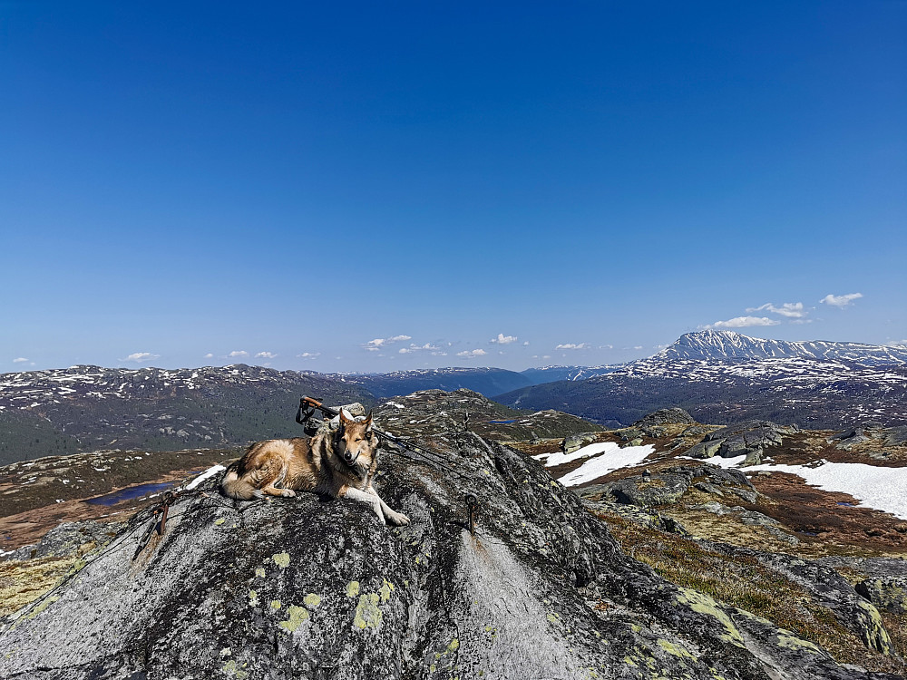 Toppen av Midtfjell