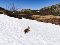 ovega_20230607_6480c6a9e3088.jpeg