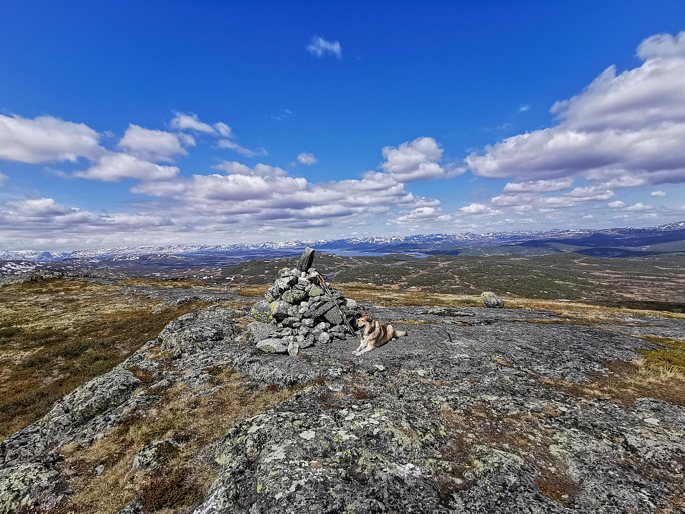Grasfjell