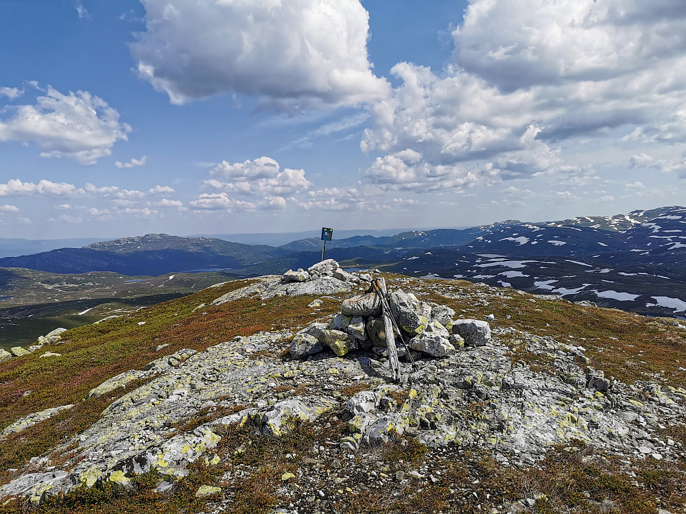 Blomtjønneggin