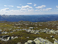ovega_20230625_649871d49a3ec.jpeg