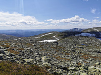 ovega_20230625_649871da8d8b3.jpeg