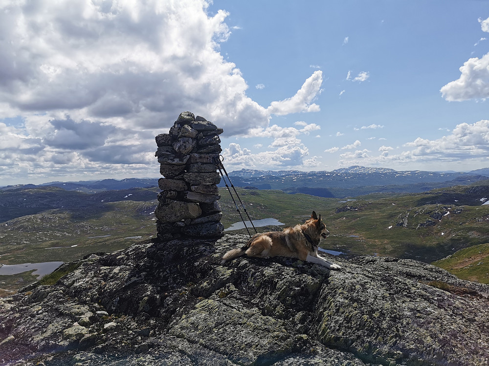 Nøtingshovda