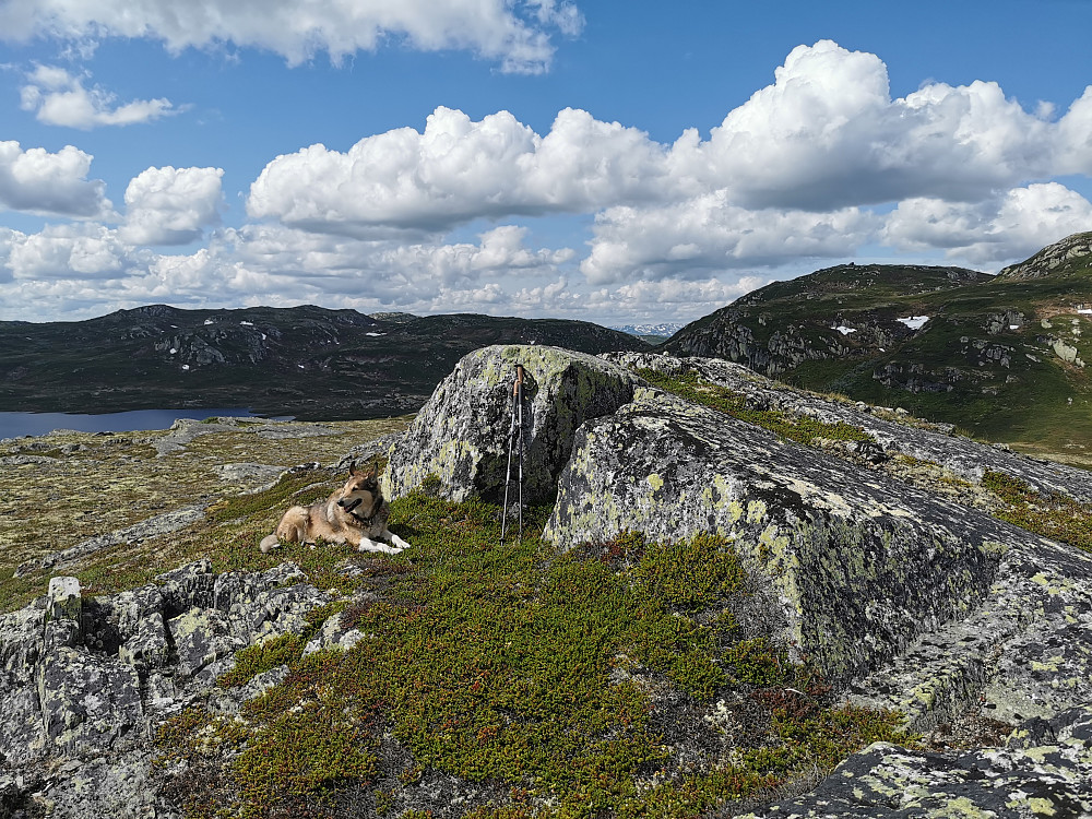 Sørøst for Nøtingshovda