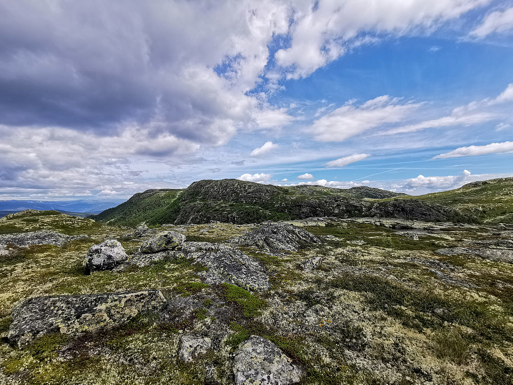 Nordvest for Nedre Gvanntjønn