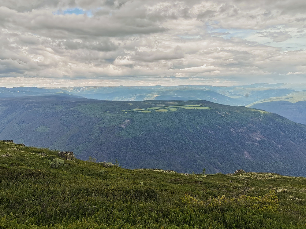 Mælsåsen