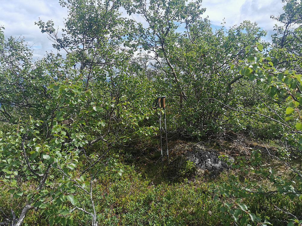 Hovshusåsen