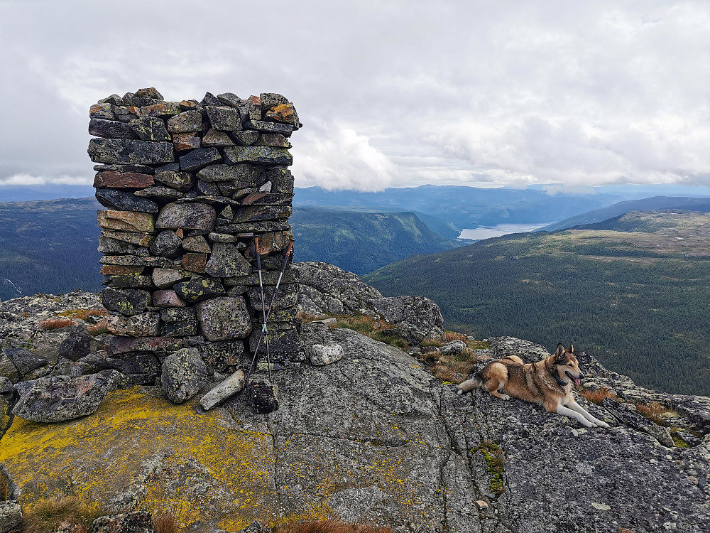 Tinnsjå i bakgrunnen