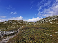 ovega_20230830_64eee9f0194d0.jpeg
