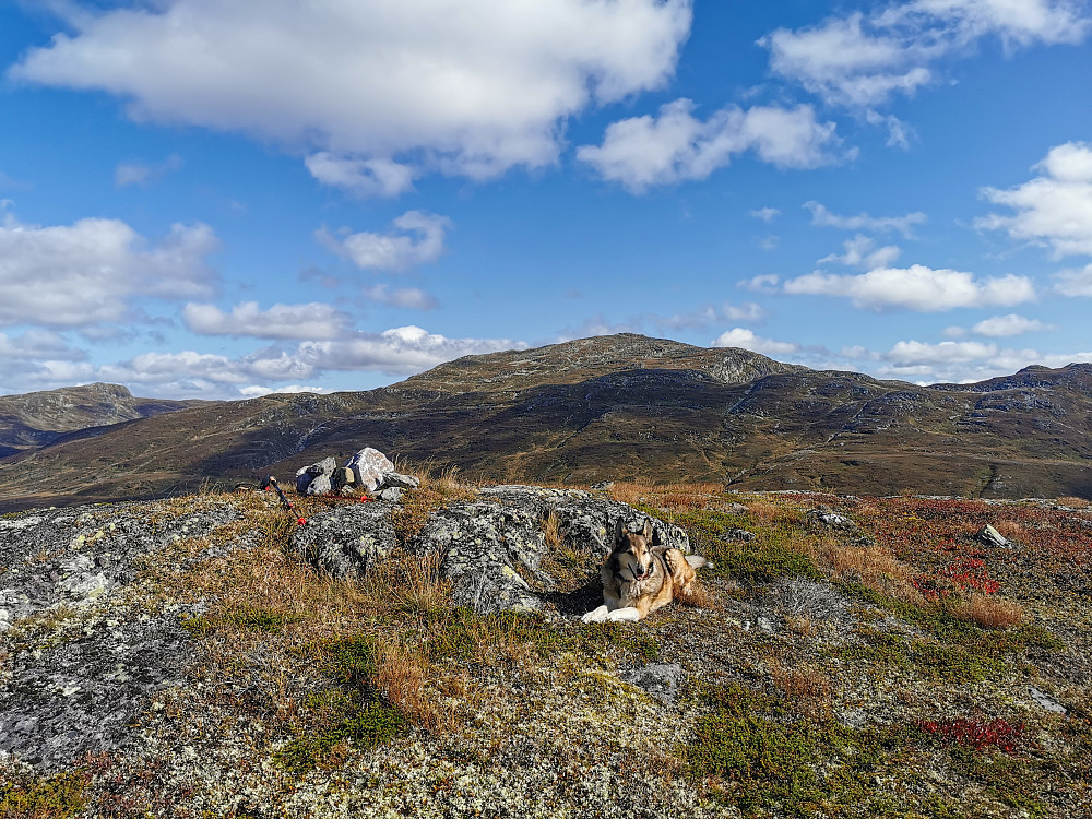 Viernuten med Brattefjell og Vindeggen i bakgrunnen