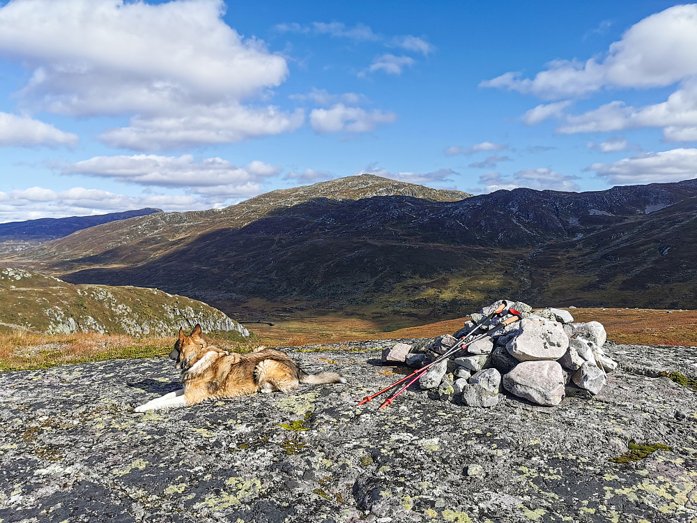 Sudbøfjellet