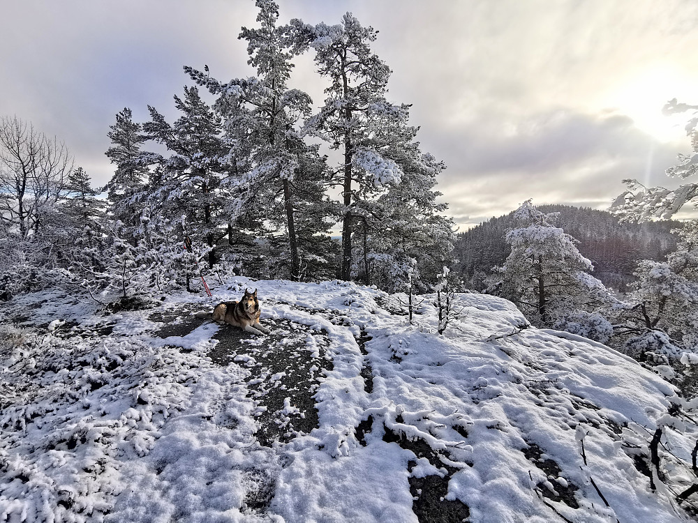 Spires med Storås i bakgrunnen
