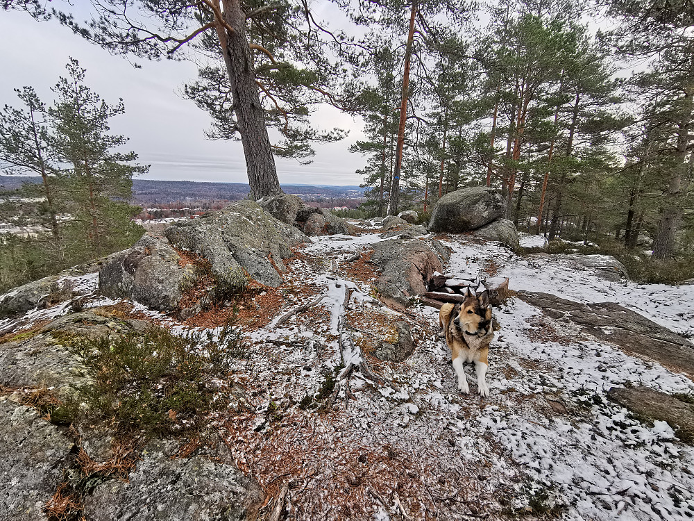 Suberget