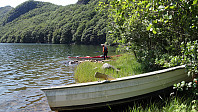 ovega_20231129_6566fcf99a77a.jpeg