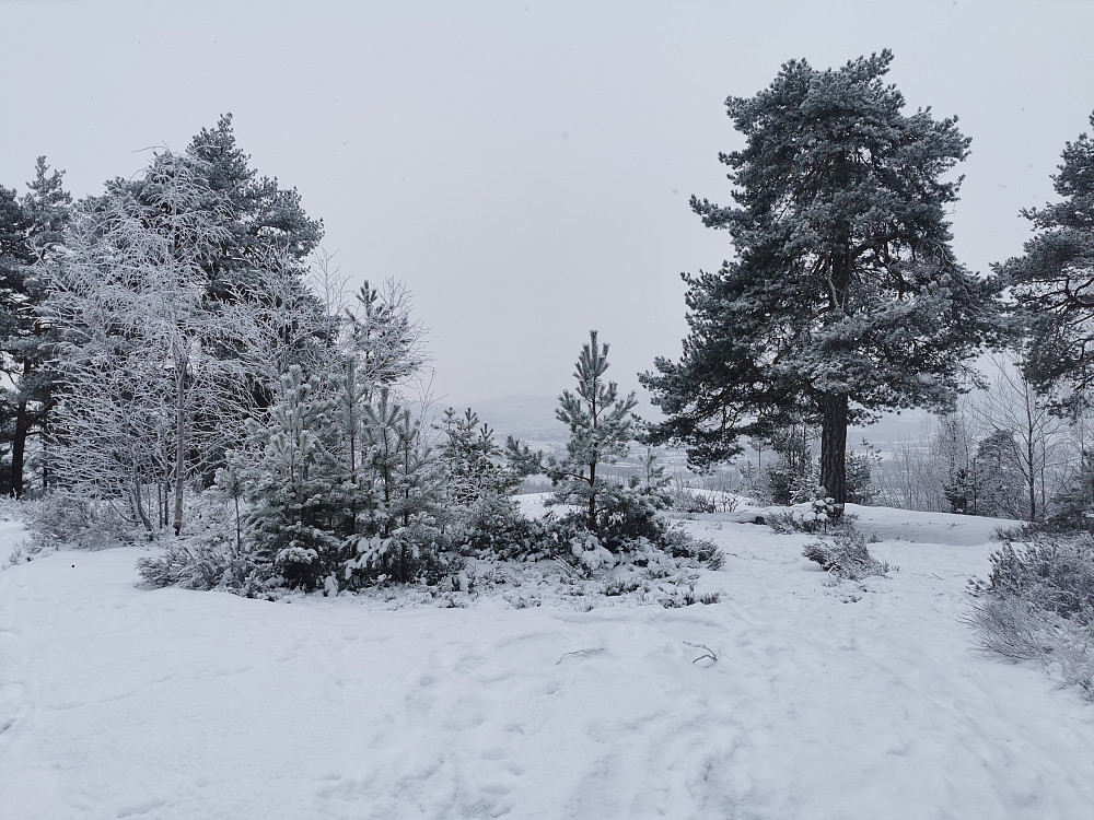 Fosskollen
