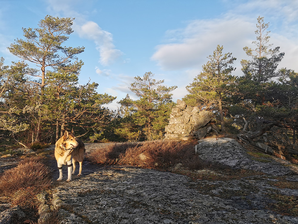 Holtefjell