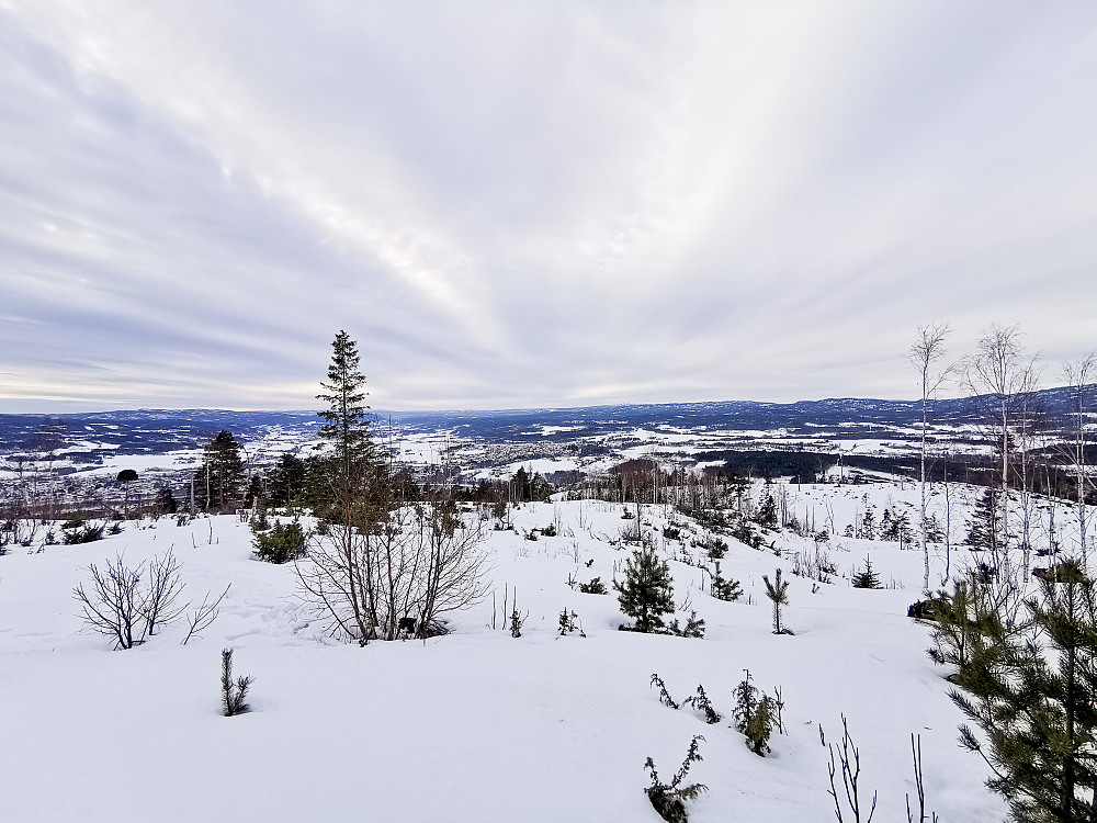 Utsikt fra Krukekollen