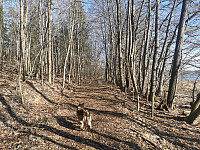 ovega_20240305_65e78c08a6186.jpeg
