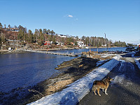 ovega_20240305_65e78c0d928ca.jpeg