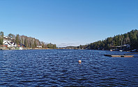 ovega_20240305_65e78c192a589.jpeg