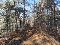 ovega_20240311_65eea3bf24de7.jpeg