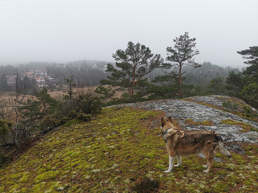 Påskeåsen sør