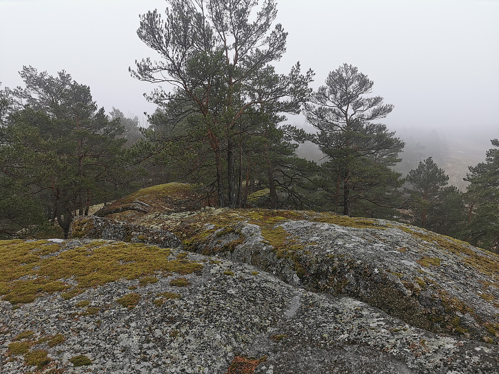 Steinfjellet
