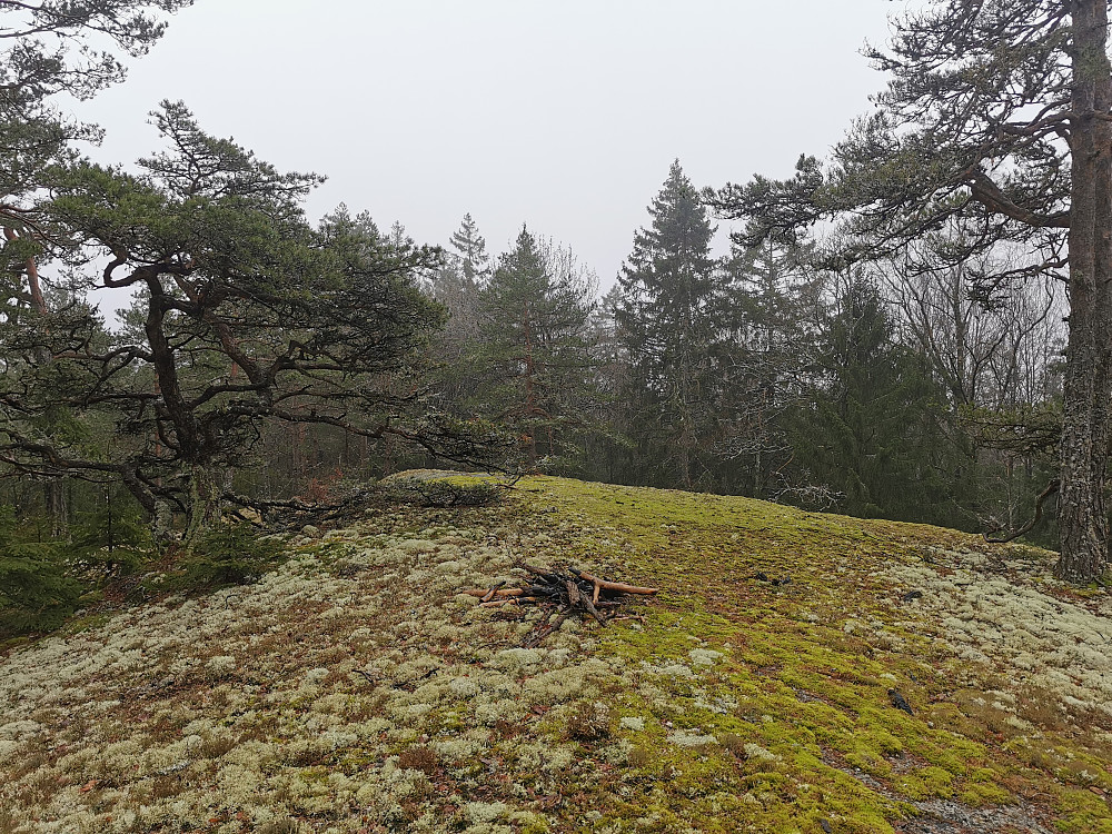 Syfjell