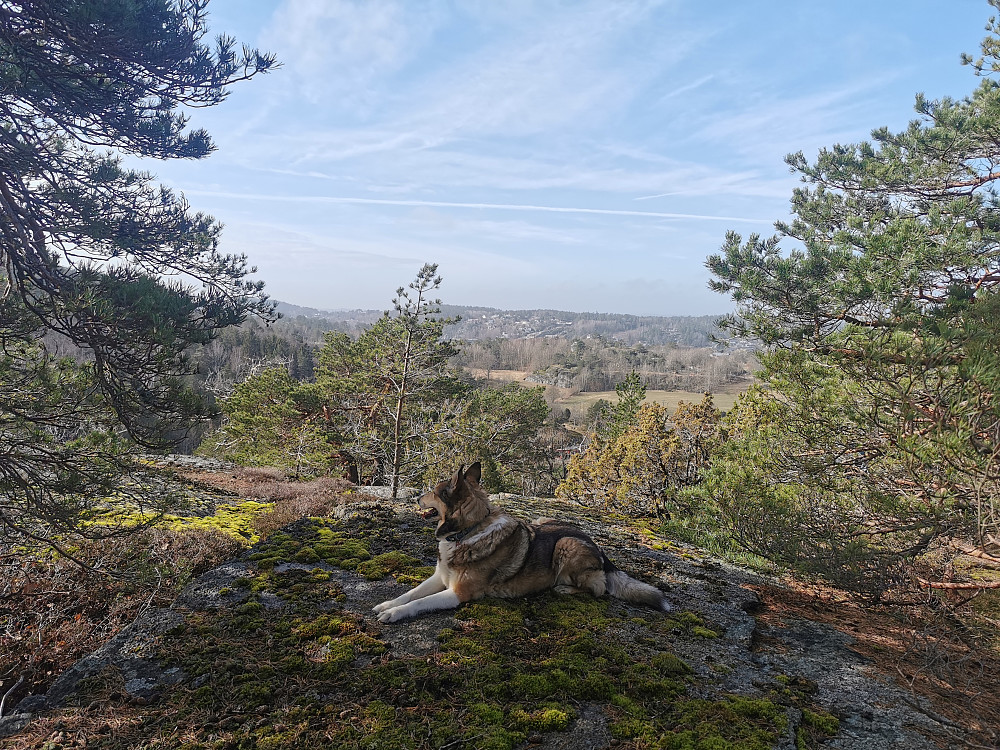 Hjelmbyåsen
