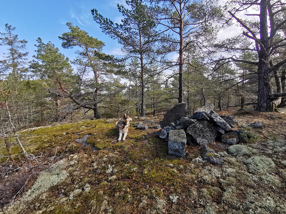 Varnhaugen