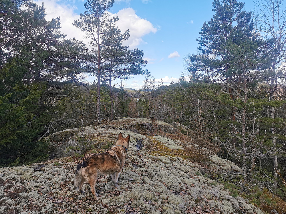 Langekilåsen