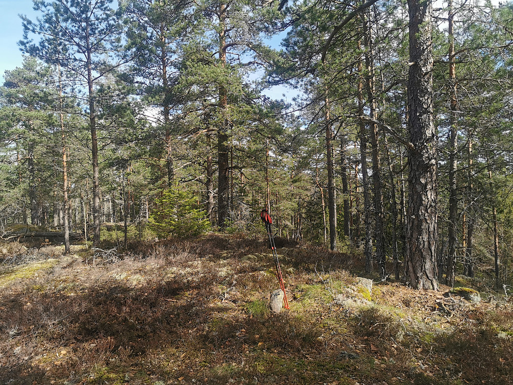 Brånan
